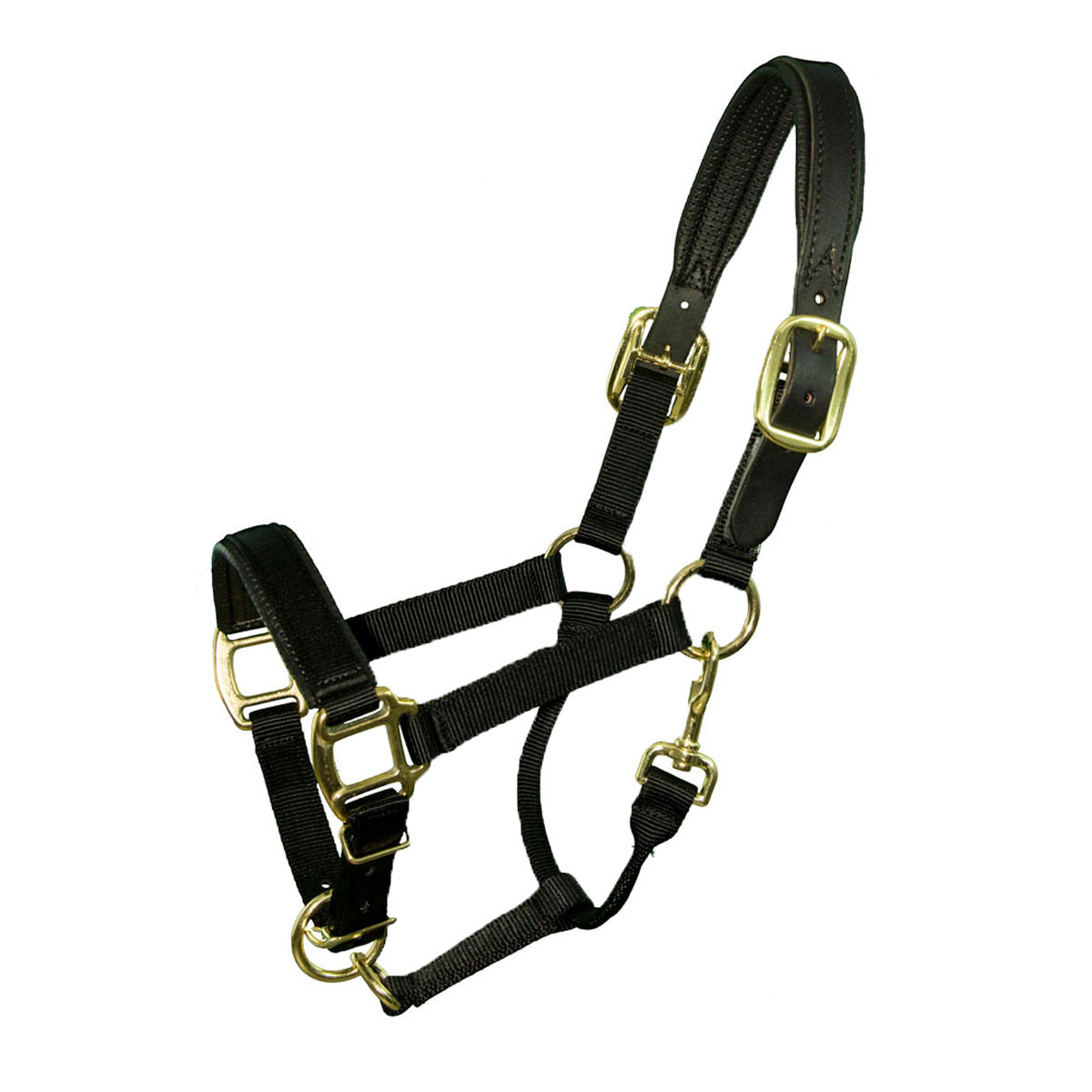 Intrepid Chafeless Padded Breakaway Halter Sporthorse Saddlery