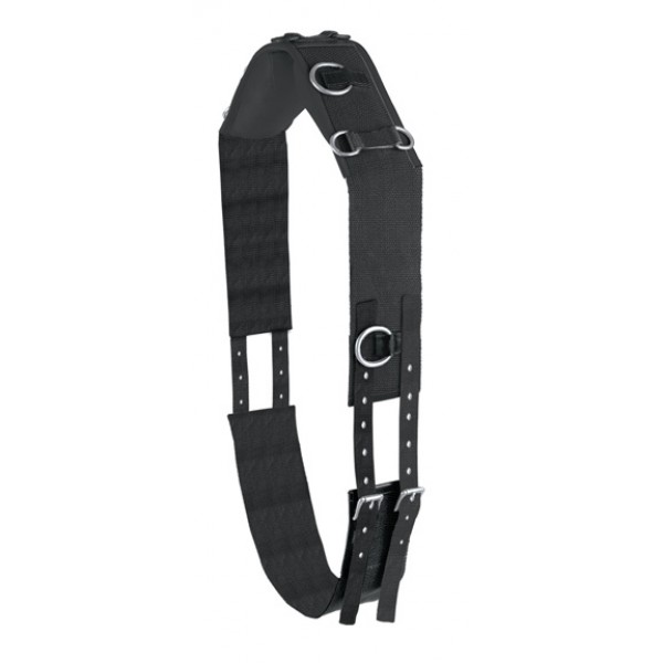 Camelot Web 8-Ring Surcingle for Lunging and Training Horses Padded Withers 