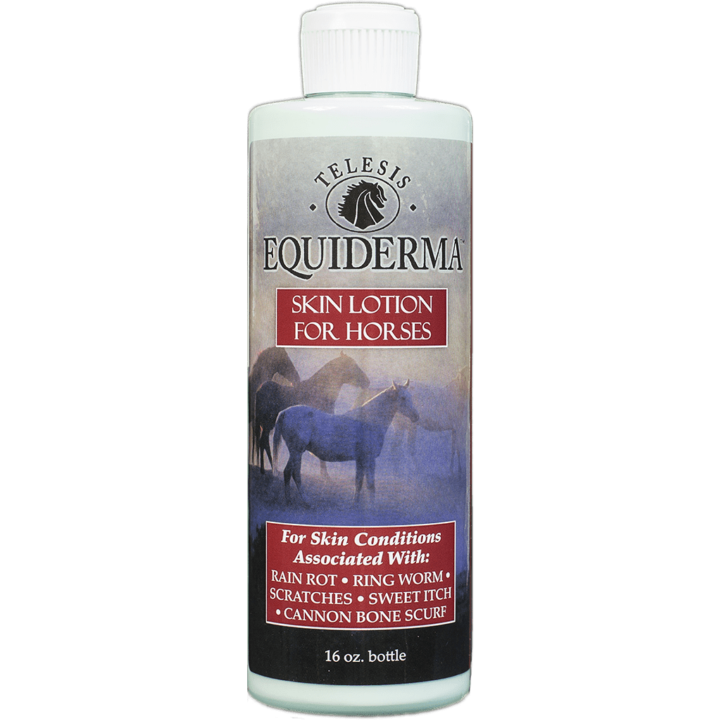 Equiderma Skin Lotion Sporthorse Saddlery