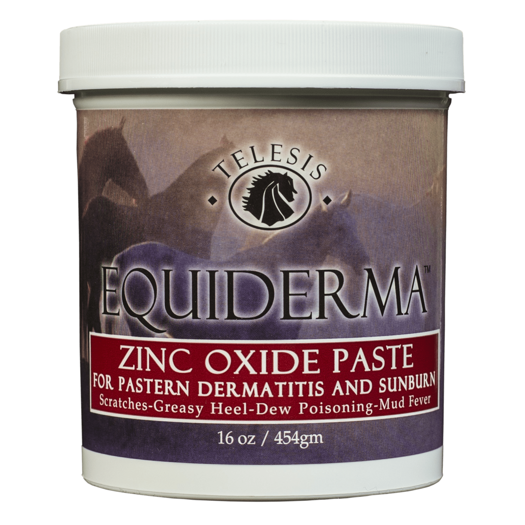 Equiderma Zinc Oxide Paste Sporthorse Saddlery