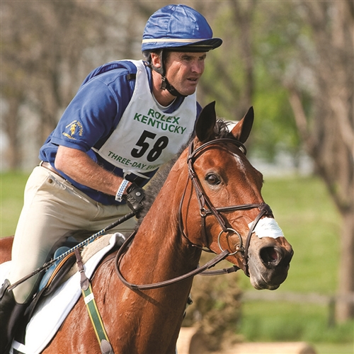 Flair Nasal Strips Sporthorse Saddlery