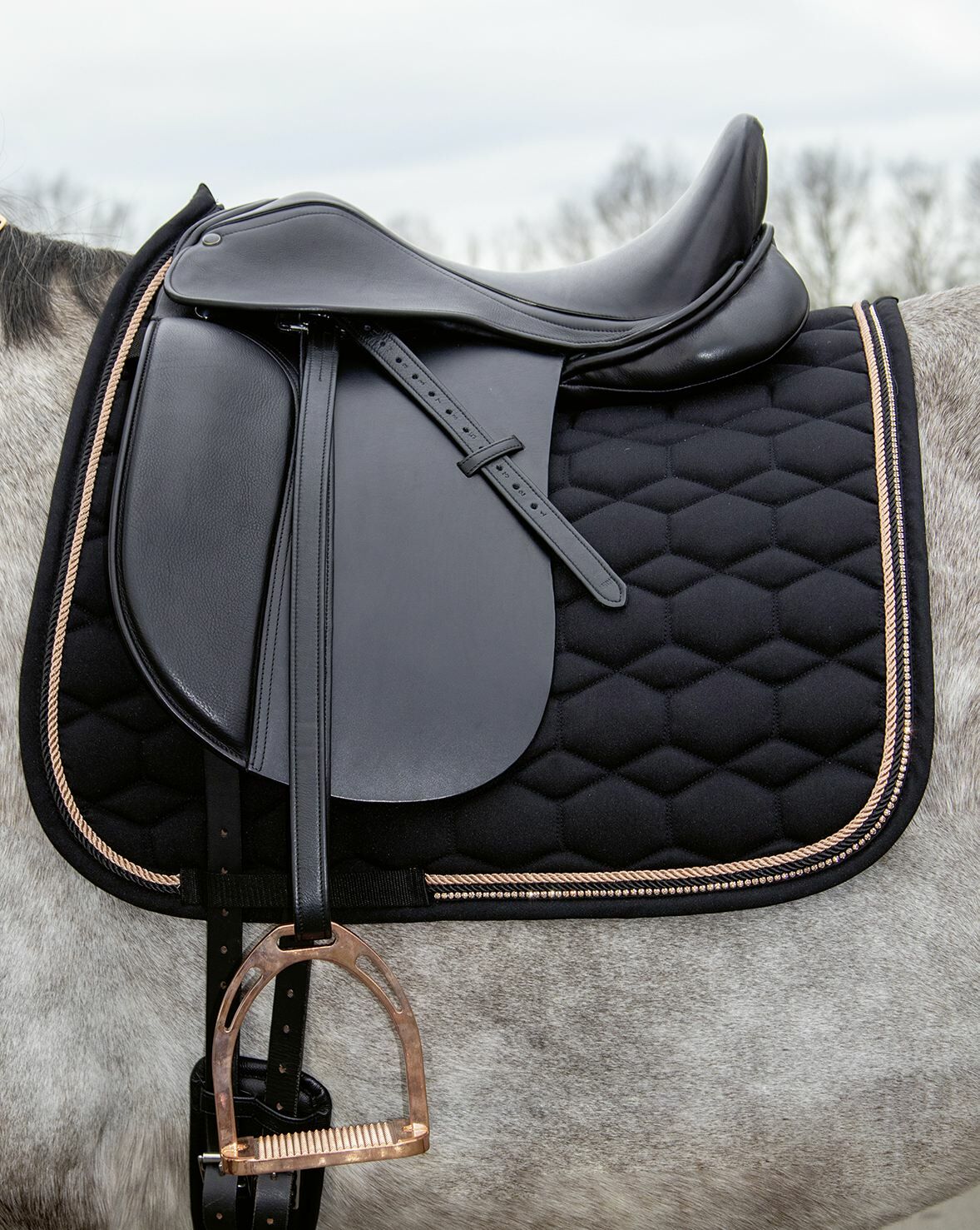Black horse saddle 2025 pad