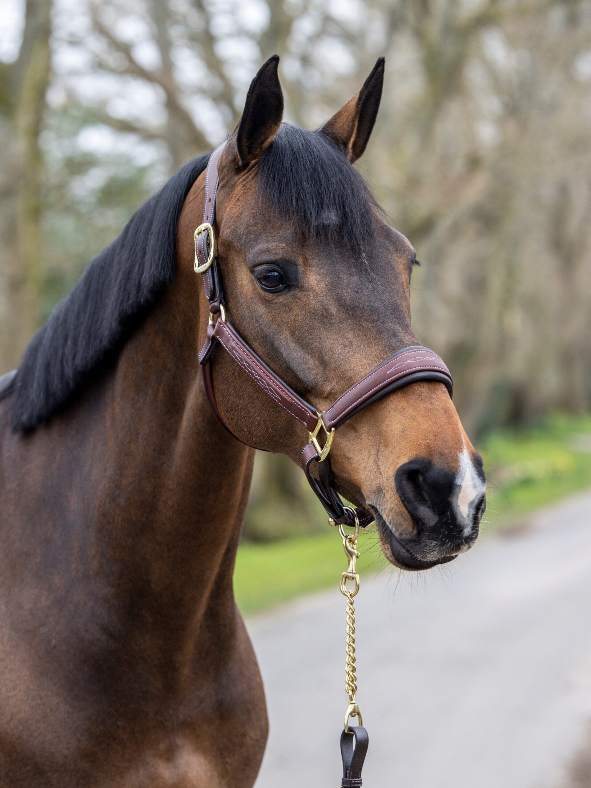LeMieux Stitched Halter - Sporthorse Saddlery