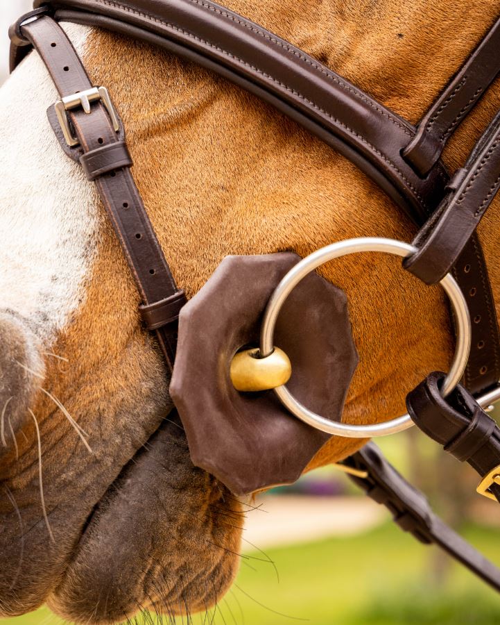 Contoured Rubber Bit Guards Sporthorse Saddlery